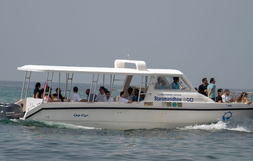 Dimaniyat Island Snorkelling Cruise