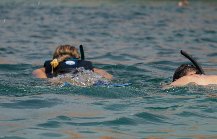 Dimaniyat Island Snorkelling Cruise