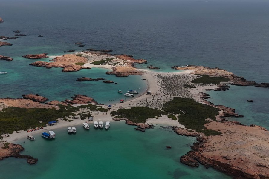 Dimaniyat Island Snorkelling Cruise
